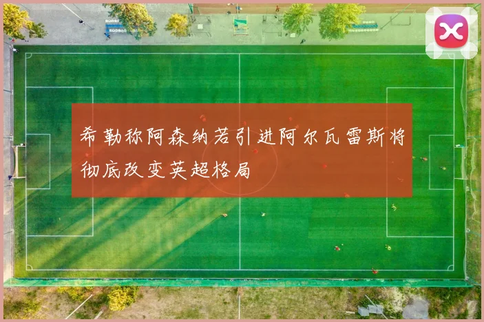 希勒称阿森纳若引进阿尔瓦雷斯将彻底改变英超格局